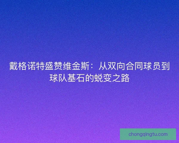 戴格诺特盛赞维金斯：从双向合同球员到球队基石的蜕变之路